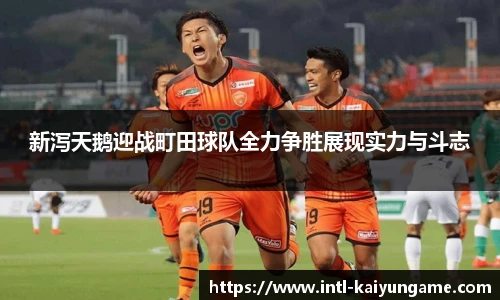 新泻天鹅迎战町田球队全力争胜展现实力与斗志